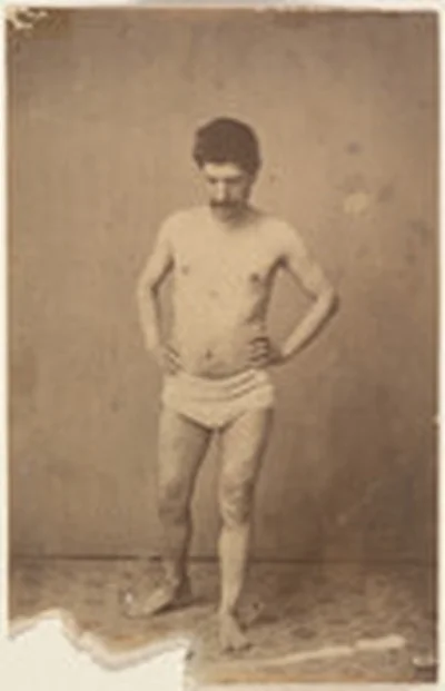 Model