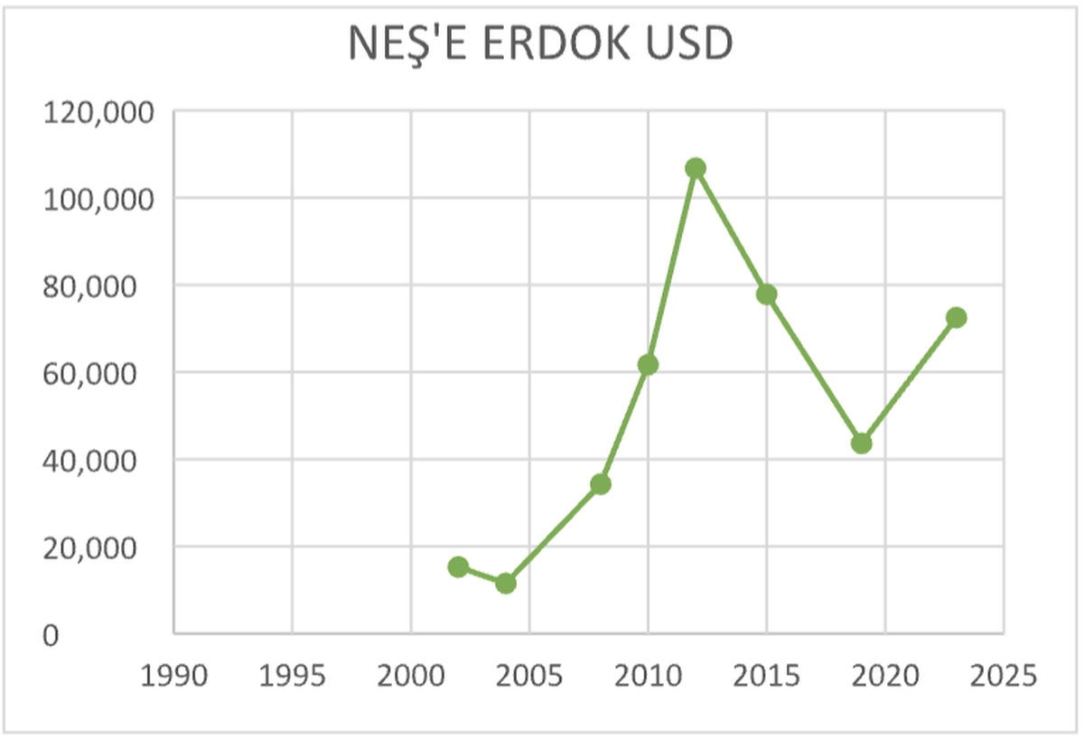 Neş'e Erdok