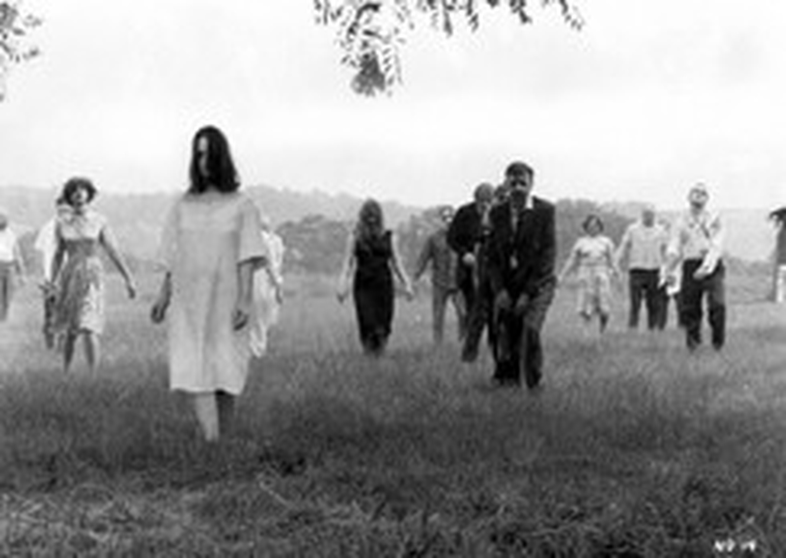 B movie