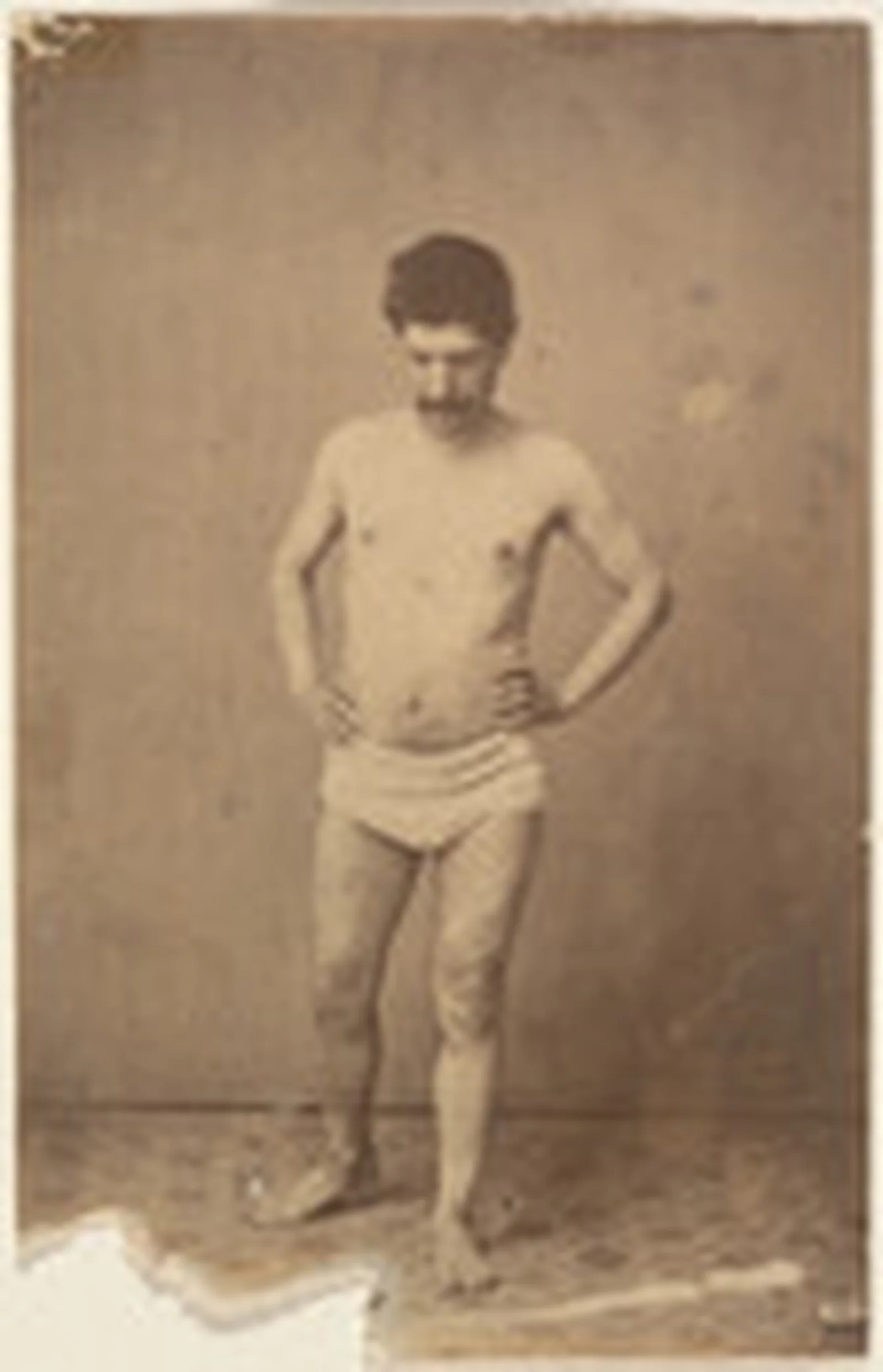 Model
