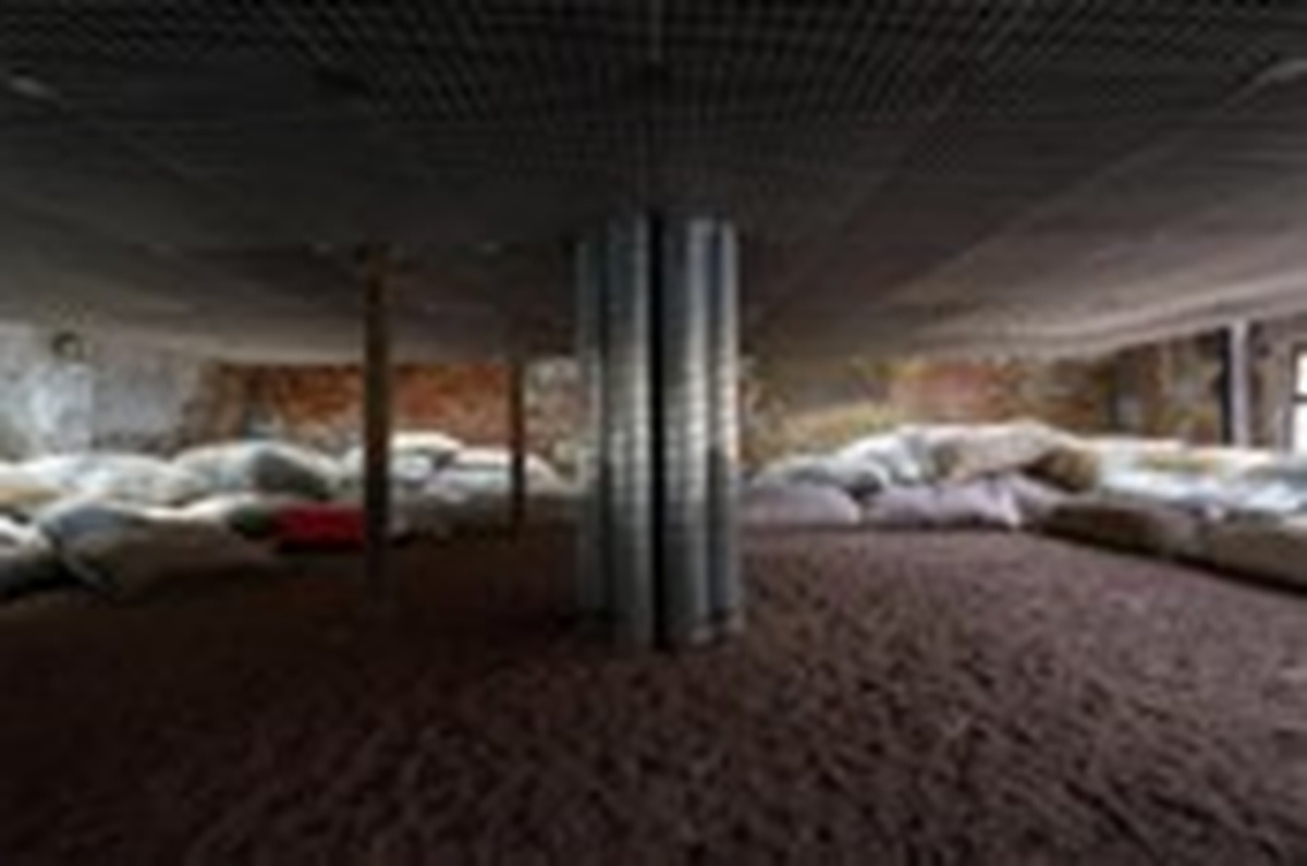 Bahreyn 2025 Venedik Mimarlık Bienali'nde Altın Aslan Ödülü Kazandı