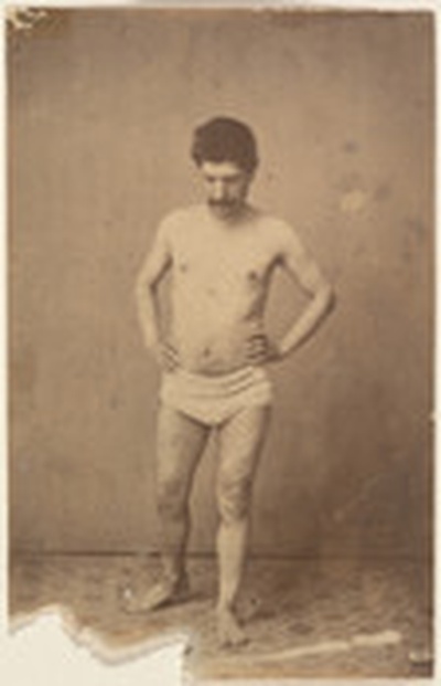 Model